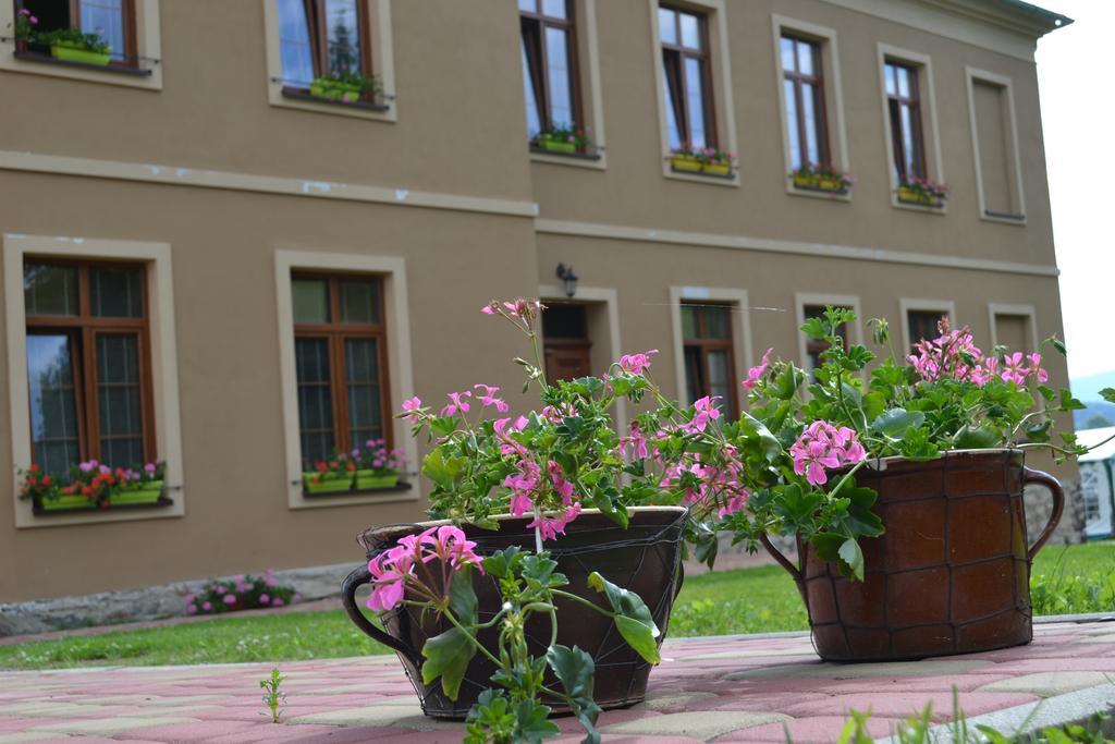 Pension Stara Skola Vysoke Zibridovice Exterior foto